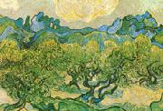 Vincent Van Gogh Olive Trees with the Alpilles in the Background oil painting